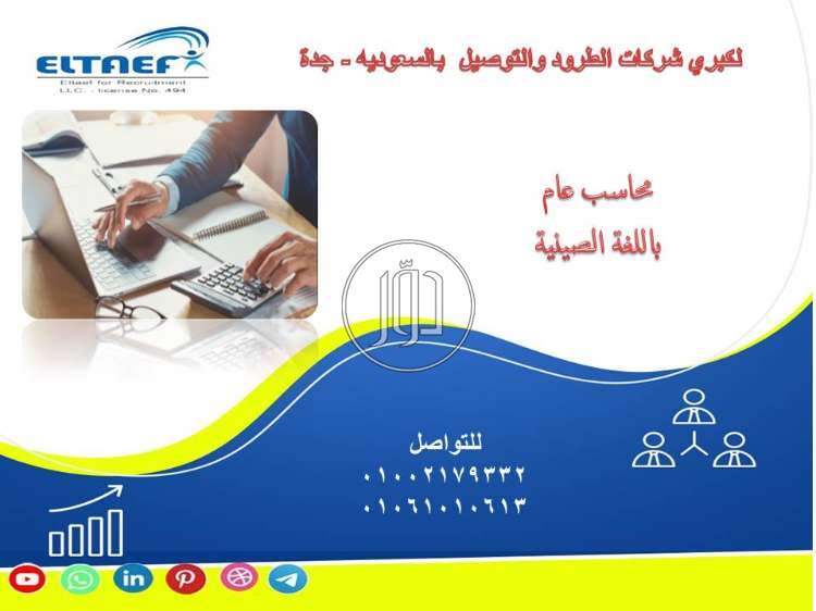 صور وظائف محاسبين في مصر - دوّر.كوم