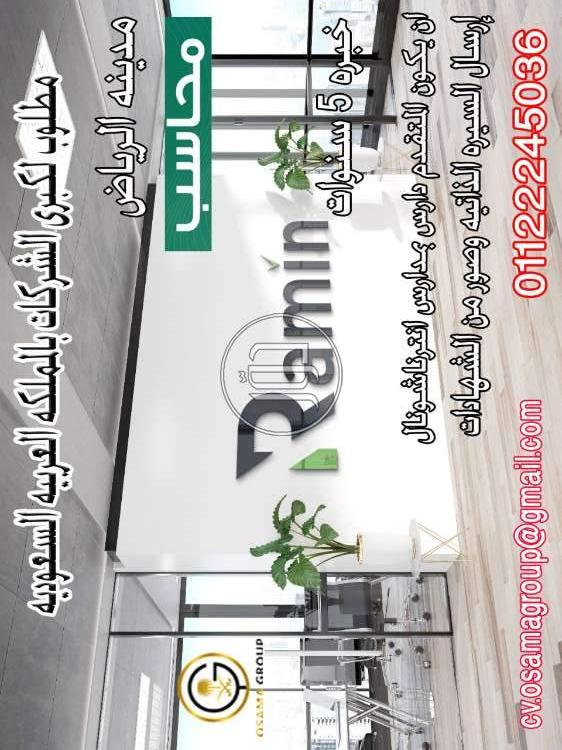 صور وظائف محاسبين في الجيزة - دوّر.كوم