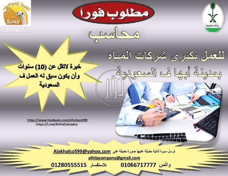 صور وظائف محاسبين في الجيزة - دوّر.كوم