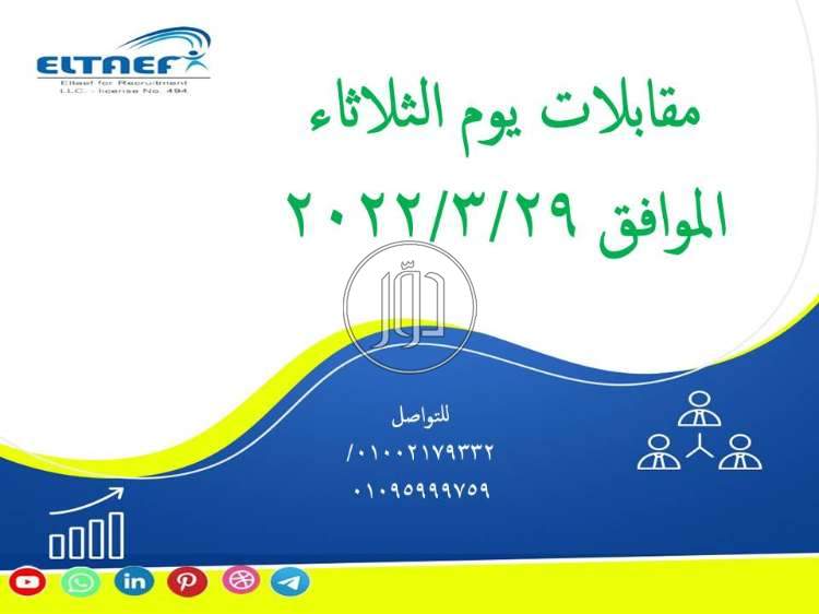 صور وظائف محاسبين في مصر - دوّر.كوم