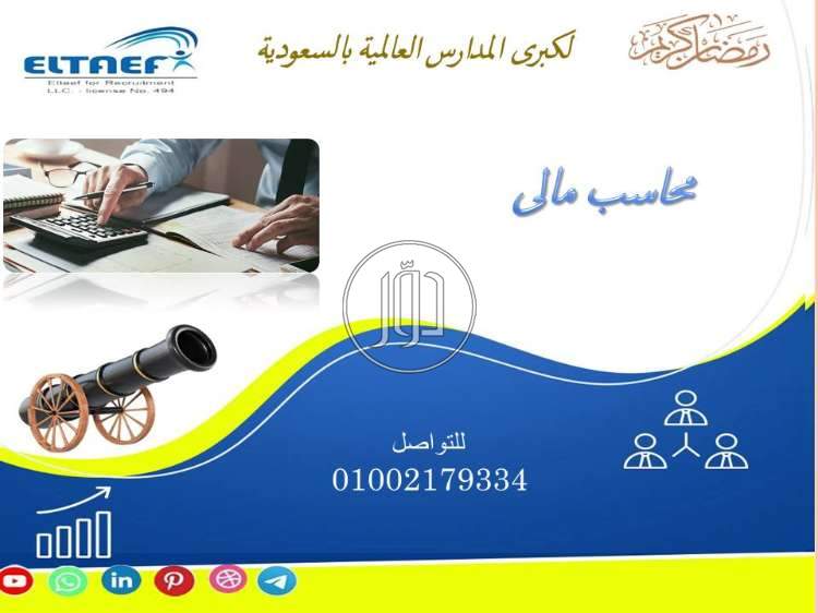 محاسبين في مصر