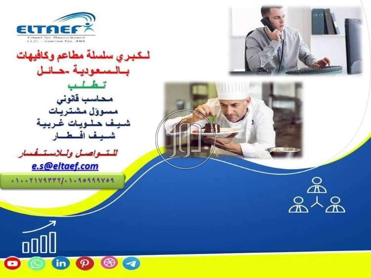 صور وظائف محاسبين في مصر - دوّر.كوم