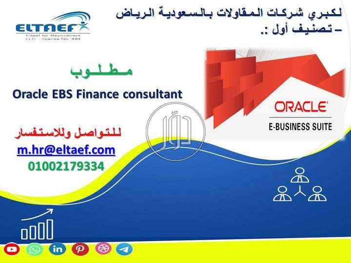 صور وظائف محاسبين في مصر - دوّر.كوم