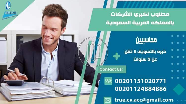 صور وظائف محاسبين في القاهرة - دوّر.كوم