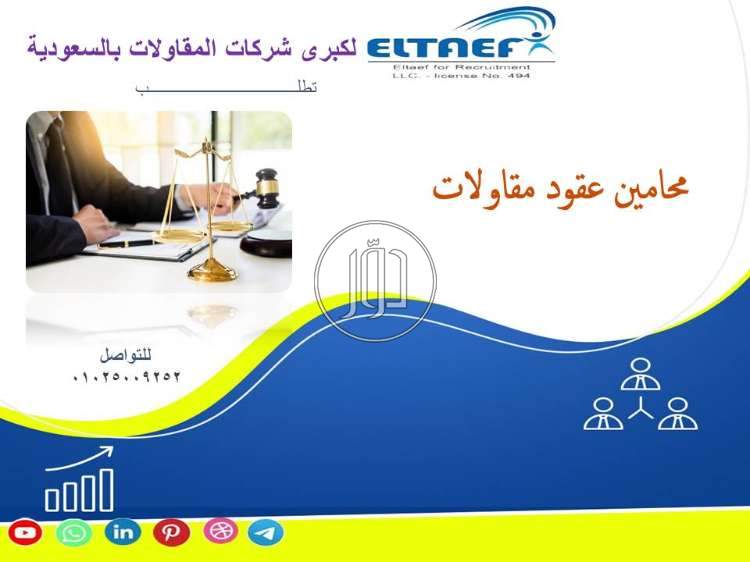 صور وظائف محاميين في مصر - دوّر.كوم