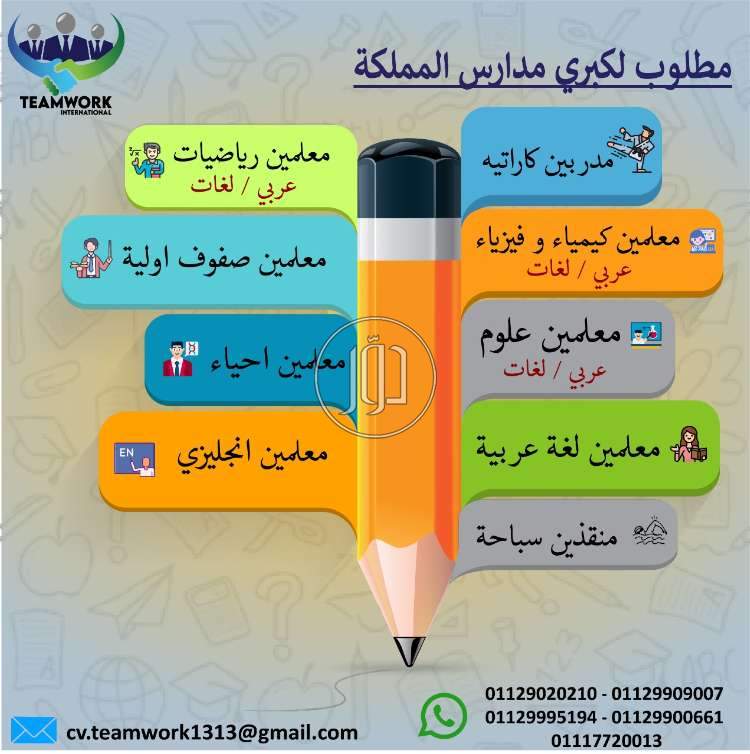 صور وظائف مدرسين ومعلمين في مصر - دوّر.كوم