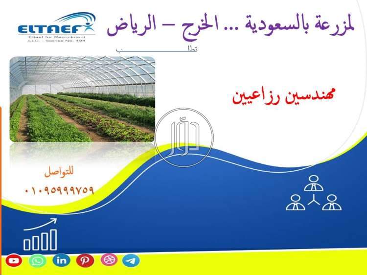 صور وظائف مهندسين في مصر - دوّر.كوم