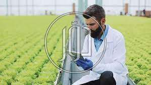 صور وظائف مهندسين في القليوبية - دوّر.كوم